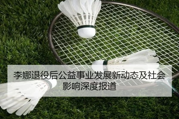 李娜退役后公益事业发展新动态及社会影响深度报道